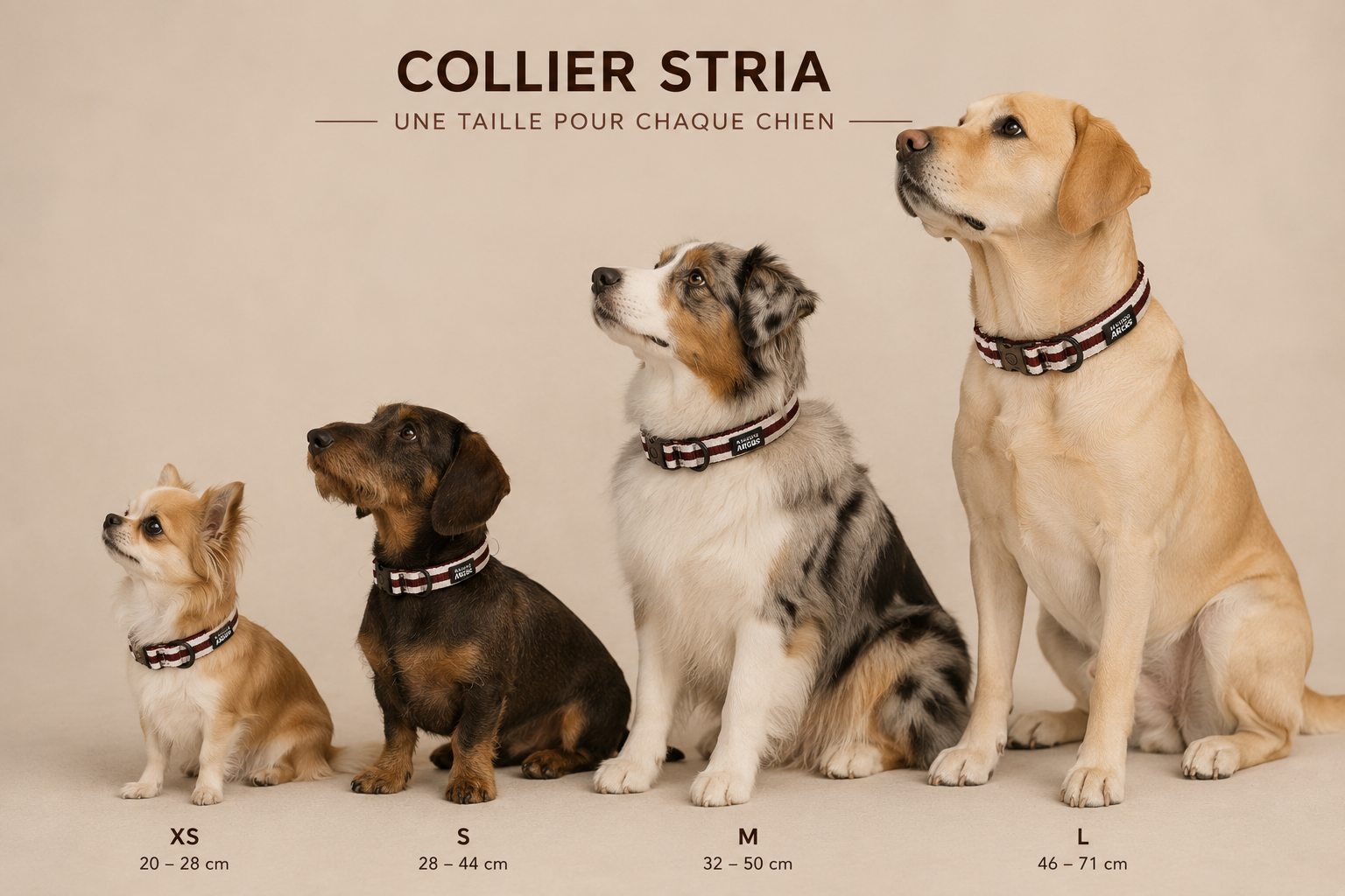 Collier STRIA
